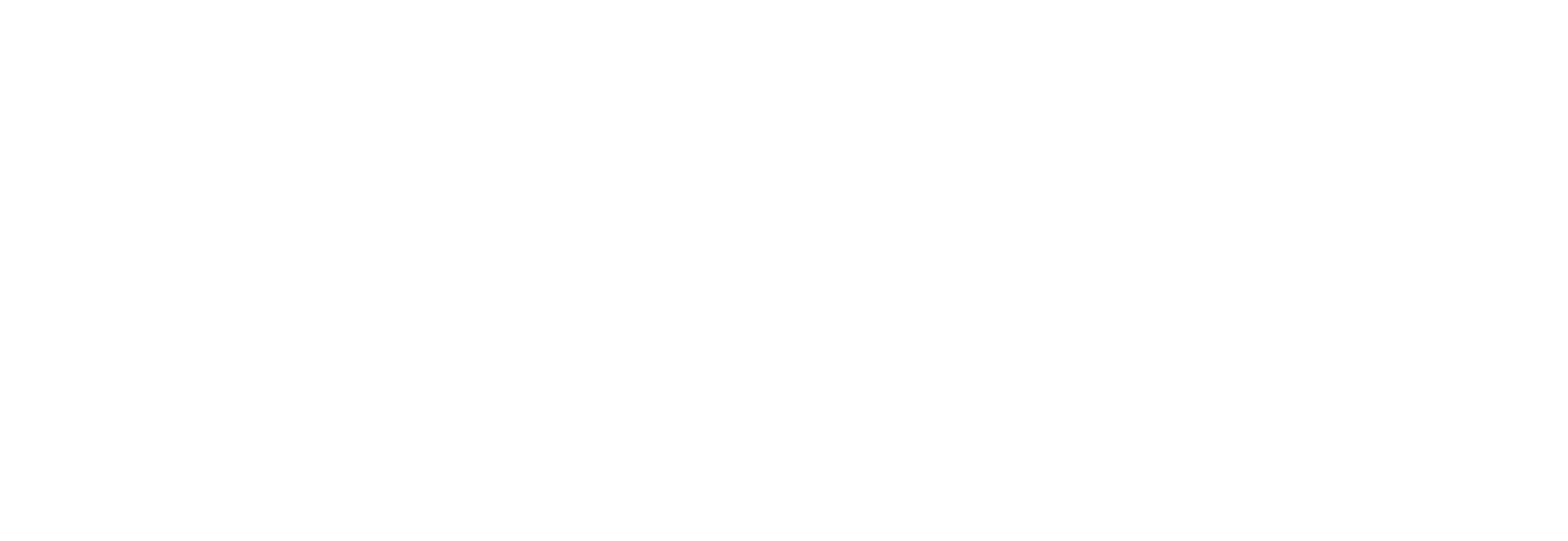 Acer logo