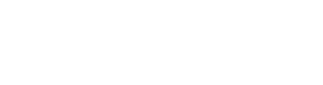 Trinex Logo